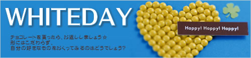 �ۥ磻�ȥǡ� �ý�